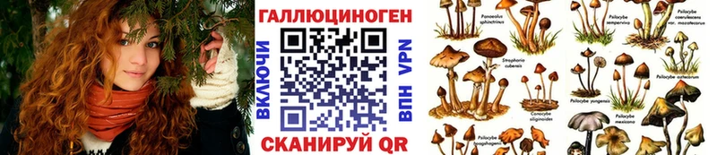 закладки  Гай  Галлюциногенные грибы Magic Shrooms 