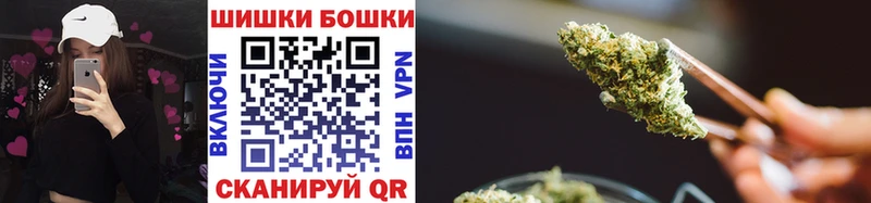 shop какой сайт  Гай  Конопля индика 